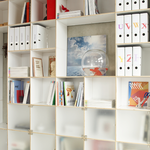 Echtholz Regalsystem mit enormer Tragkraft und erweiterbarem Steckverbund für das Büro und Zuhause