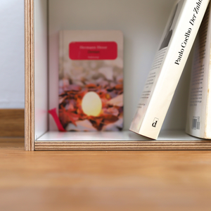 Bodenmodul für Taschenbücher
