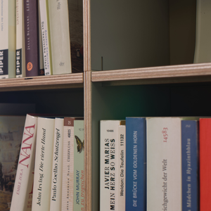 Bücherregal aus querverleimtem Birkenschichtholz im modularen Regalsystem