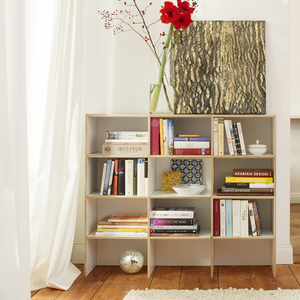 Bücherregal Wiesbaden mit viel Platz für Bücher.