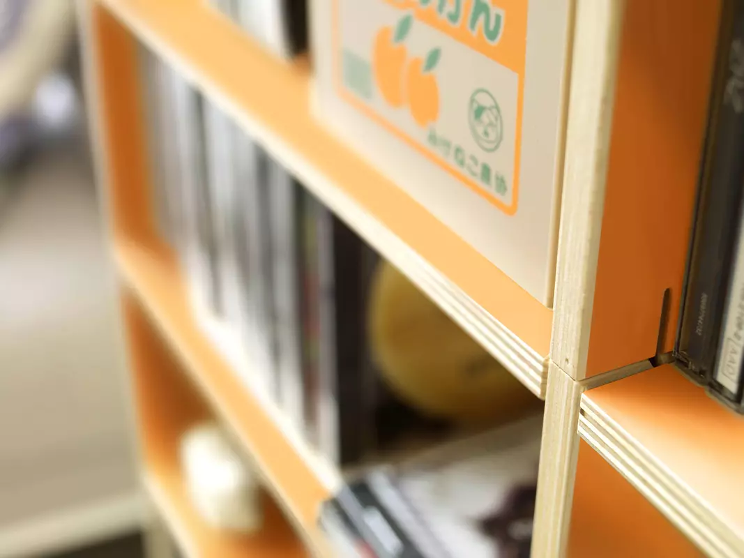 Im CD Regal Oldenburg finden bis zu 490 CD's Platz.
