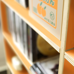 Im CD Regal Oldenburg finden bis zu 490 CD's Platz.
