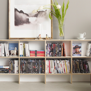 DVD-Regal aus Birke als Sideboard in der Farbe weiss