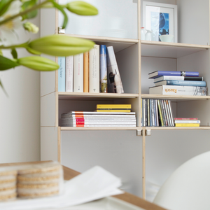 Individuell konfigurierbare Regale aus Birkenholz in bester Qualität und harmonischem Design