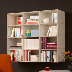 Bücherregale für jedes Interieur in 5 verschiedenen Farben aus Birke und Multiplex