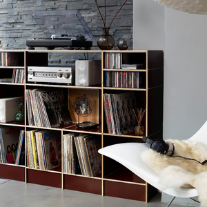 HiFi-Regal mit Platz für LP's, CD's und Technik frei konfigurierbar