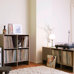 LP-Regal mit Tip-On Tür.
