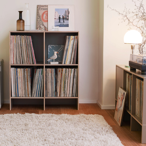 LP-Regal aus Birken-Multiplex. Modular, Flexibel, Erweiter- und Umbaubar.