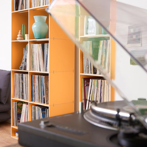 LP-Aufbewahrung. Modular, erweiterbar, umbaubar. rio-Regalsystem mit höchsten Qualitätsansprüchen