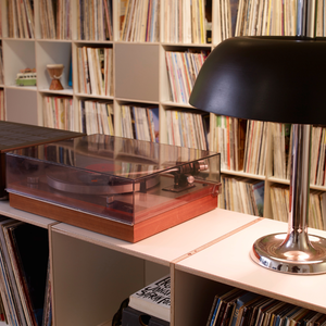 Zwei LP-Regale mit Platz für bis zu 8000 LP's.