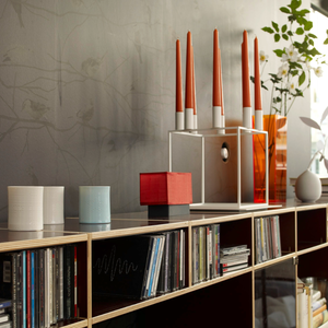 Sideboard aus Birkenholz mit Fächern für CD's und Schallplatten