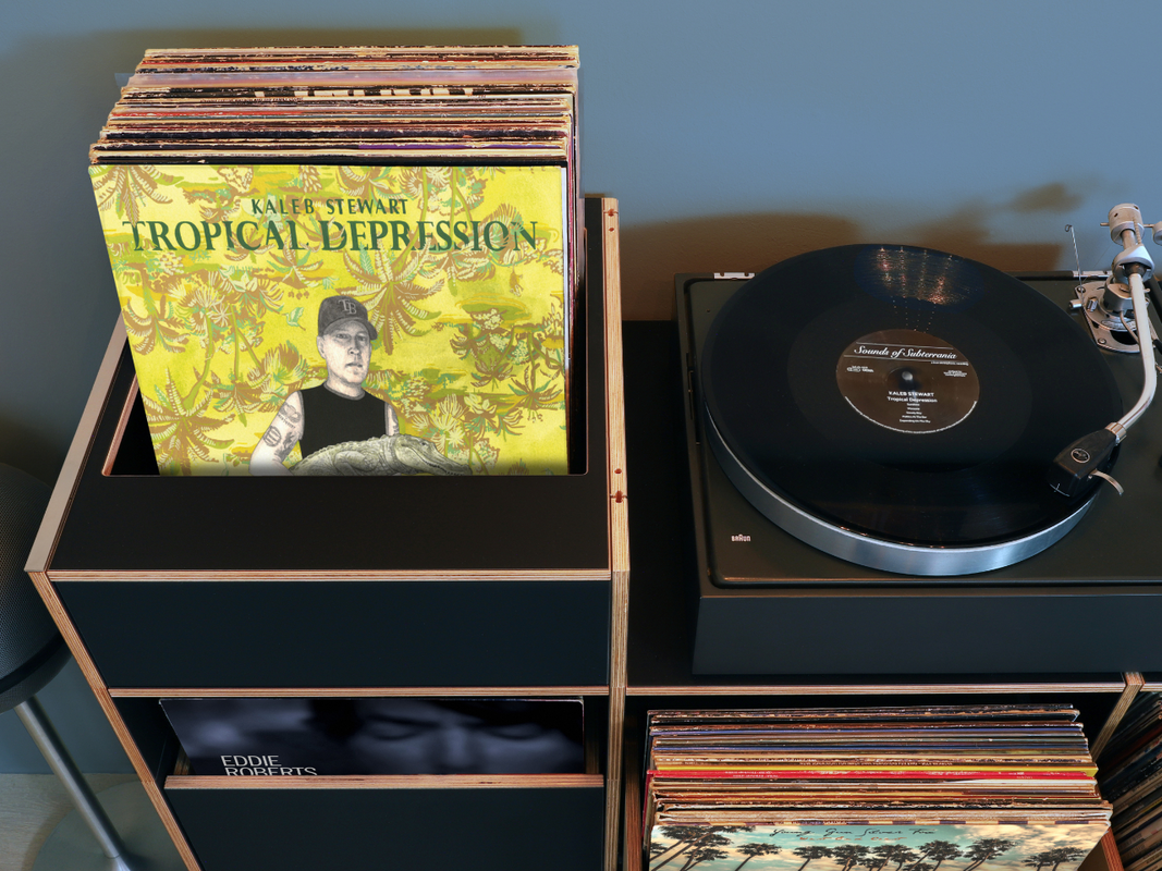 Ein Vinylregal für die Ewigkeit. Unumstrittene Qualität & Stabilität. Langlebig, nachhaltig.