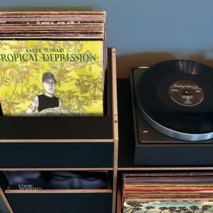 Ein Vinylregal für die Ewigkeit. Unumstrittene Qualität & Stabilität. Langlebig, nachhaltig.
