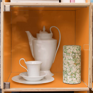 Modular, flexibel und erweiterbar mit rio-regalsystem im bauhausstil nachhaltig wohnen